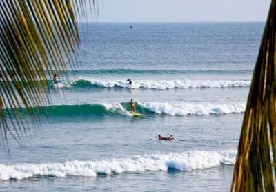 wave surf tarifa